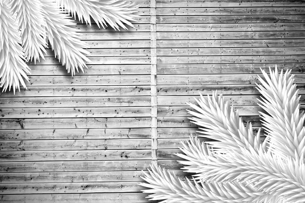 Fir branches on wooden planks