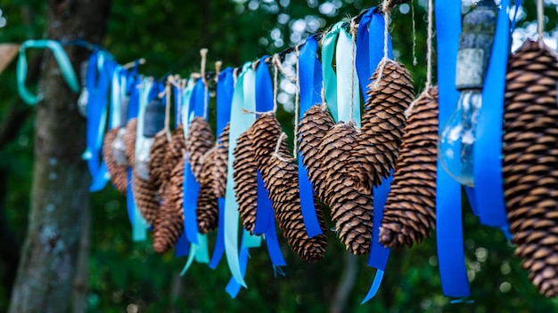 Fir cones and blue garlands hungs outdoors