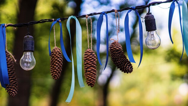 전나무 콘과 파란색 화환은 야외에 매달려 있습니다.