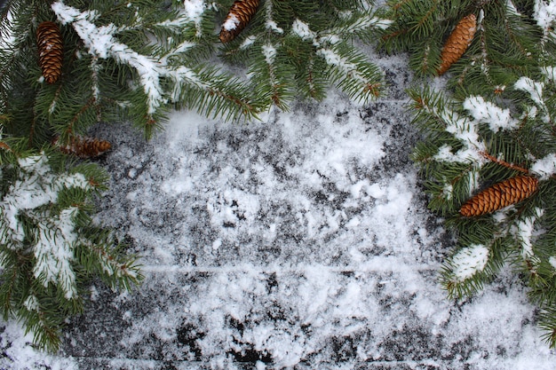 Coni e rami di abete su un fondo di legno con neve bianca fresca