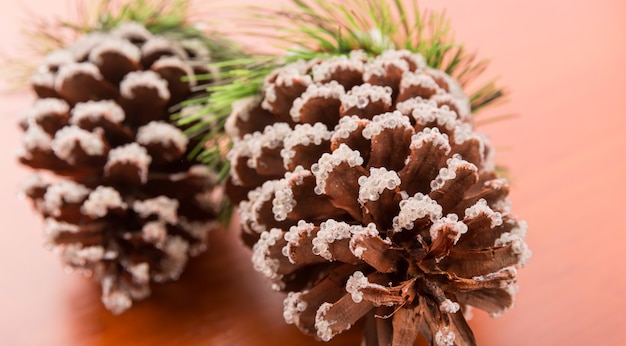 Fir cones