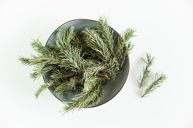 Fir pine branches on the plate.