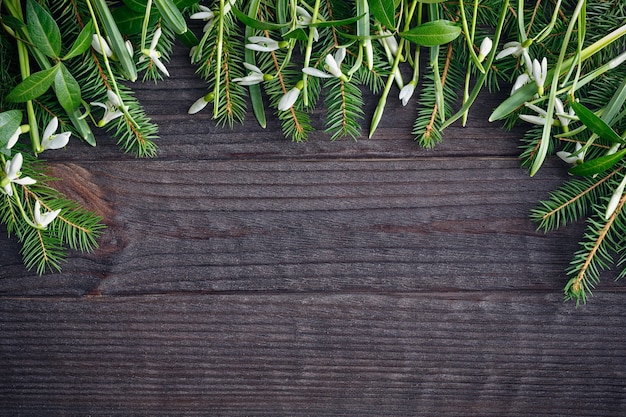 Fir-tree branch en sneeuwklokjes op donkere houten tafel.