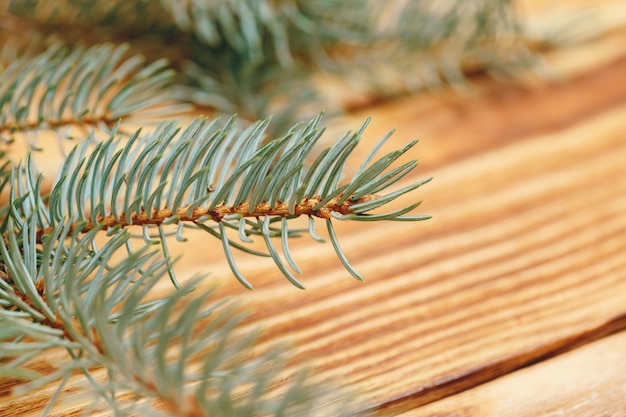 Fir tree branch on wooden background close up