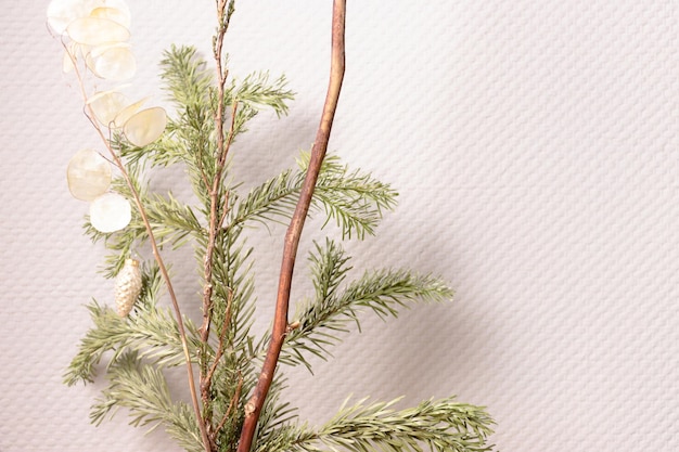 Fir tree branches in front of gray wall