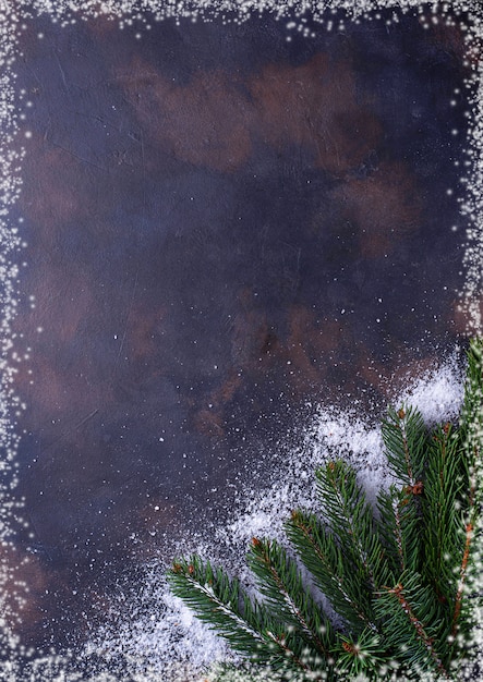 Fir tree branches with snowflakes. 