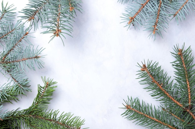 Fir tree branchs on a white background View from above Blank space for signature