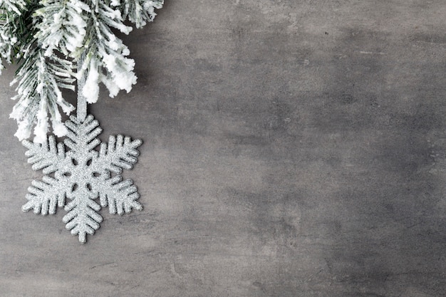 Fir tree covered with snow on gray board