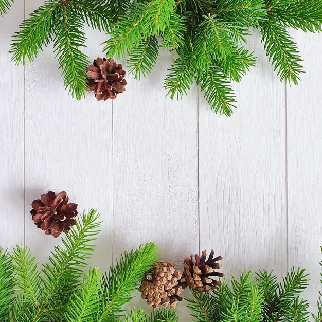 Fir tree en dennenappels op witte houten tafel.