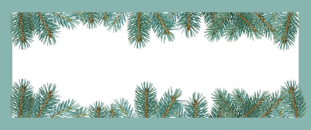 Photo fir tree frame isolated on white background. new year greeting card