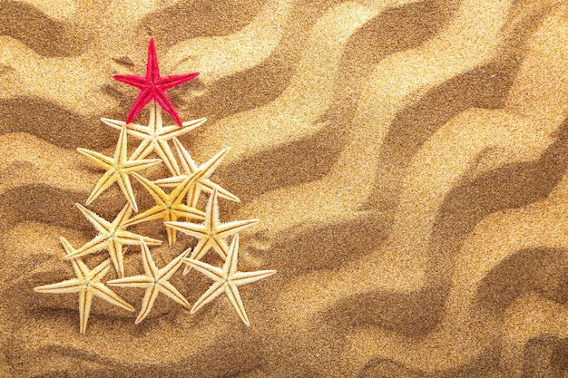 Fir tree made of sea stars on sand background