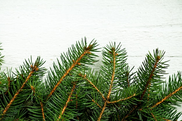 Fir tree on white wooden board