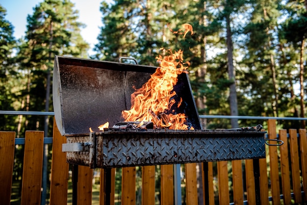 fire burning in a brazier in nature in summer