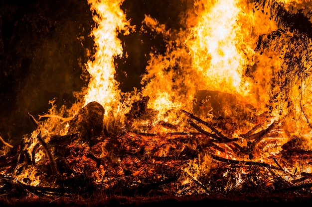 fire, burning grass and small trees.