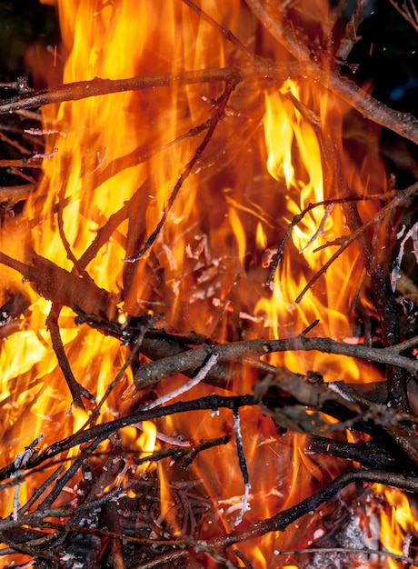 Foto un fuoco che brucia nella notte