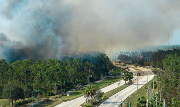 Fire department firetrucks extinguishing wildfire burning severely in Florida jungle woods Emergency service vehicles trying to put down flames in forest