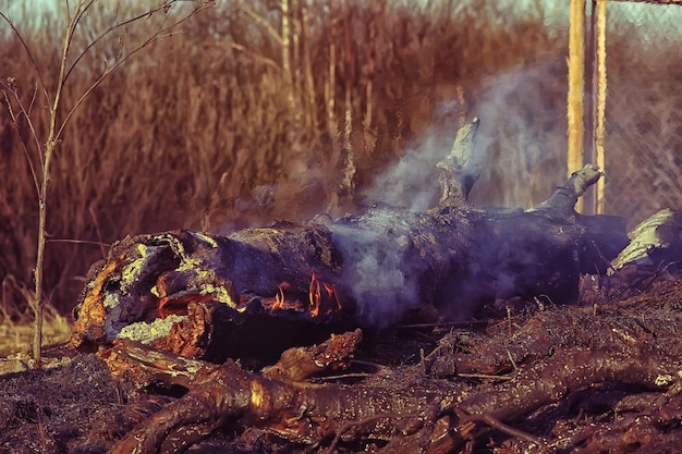 огонь в поле / огонь в сухой траве, горящая солома, стихия, природный ландшафт, ветер