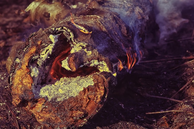 Fire in the field / fire in the dry grass, burning straw,\
element, nature landscape, wind