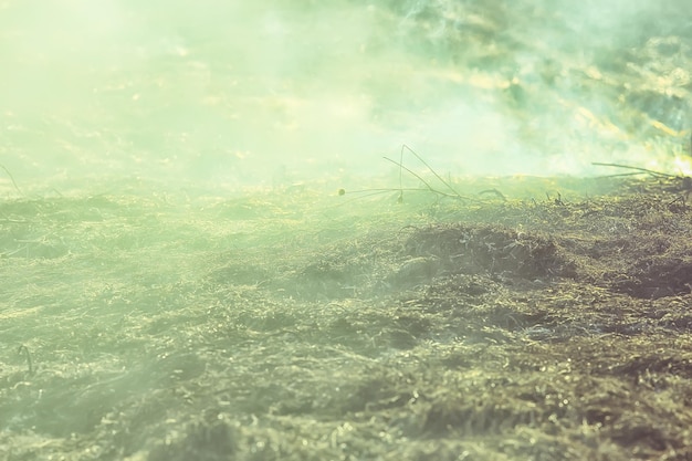 fire in the field / fire in the dry grass, burning straw, element, nature landscape, wind