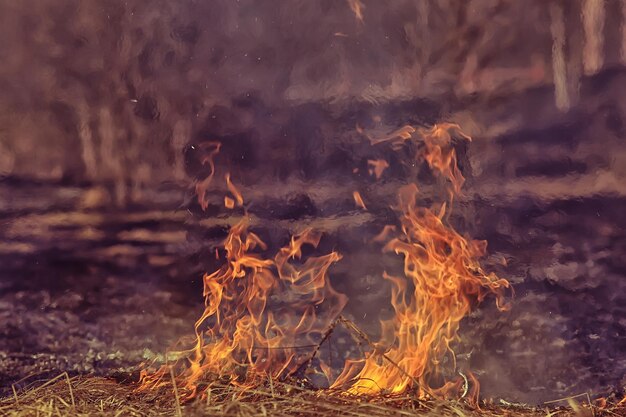 fire in the field / fire in the dry grass, burning straw, element, nature landscape, wind