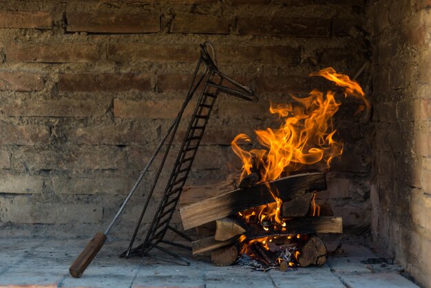 A fire in a fireplace with a horse on the front.