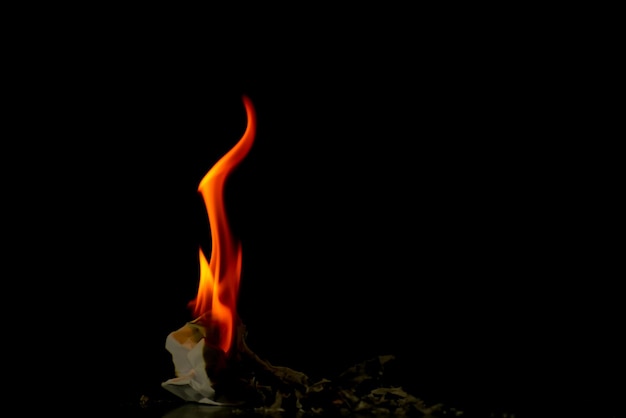 Fire flame burning on black background