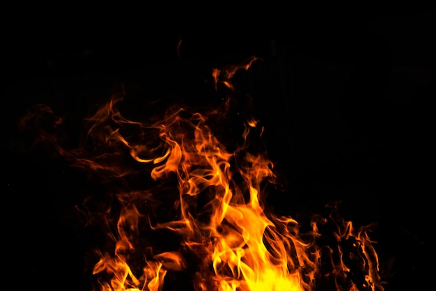 Fire flames on Abstract art black background