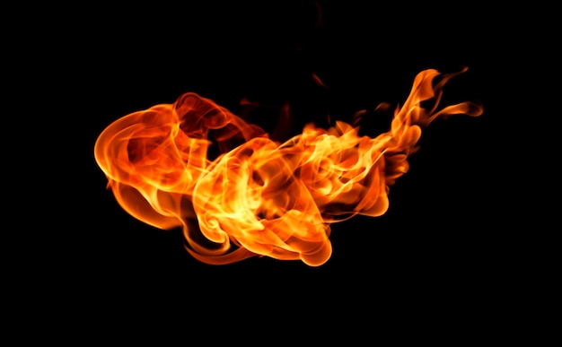 Fire flames on a black background