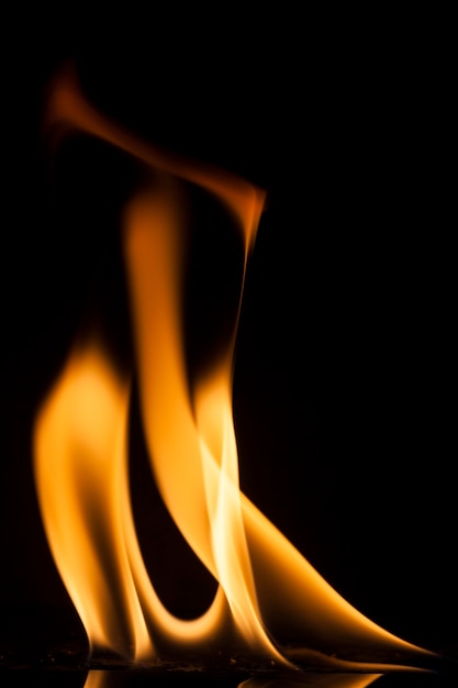 Fire flames on black background.