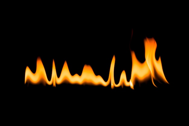 Fire flames. Black background.