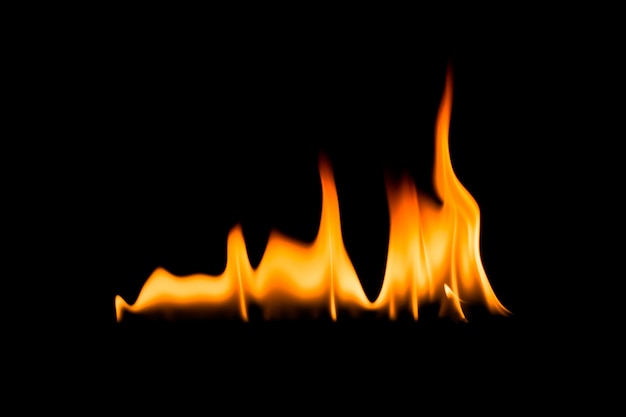 Fire flames. Black background.