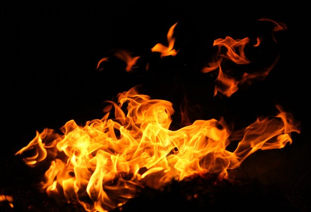 Fire flames isolated on a black background