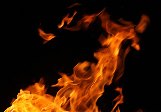 Fire flames isolated on a black background