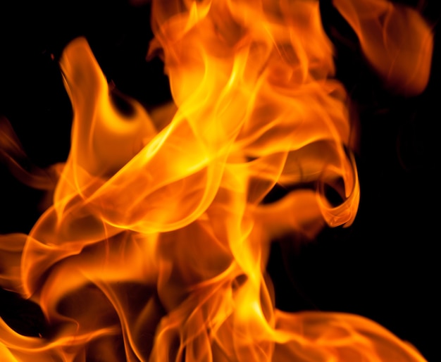 Fire flames isolated on a black background