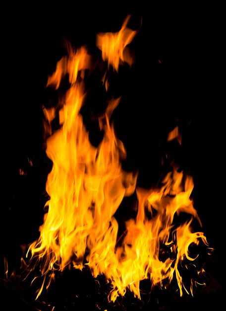 Fire flames isolated on a black background