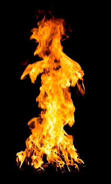 Fire flames isolated on a black background