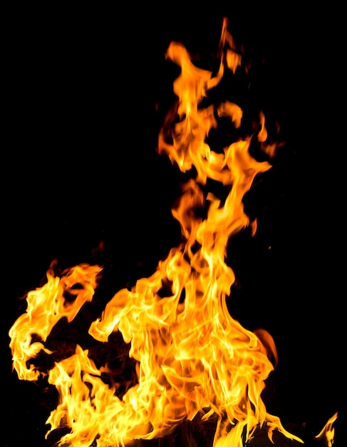 Fire flames isolated on a black background