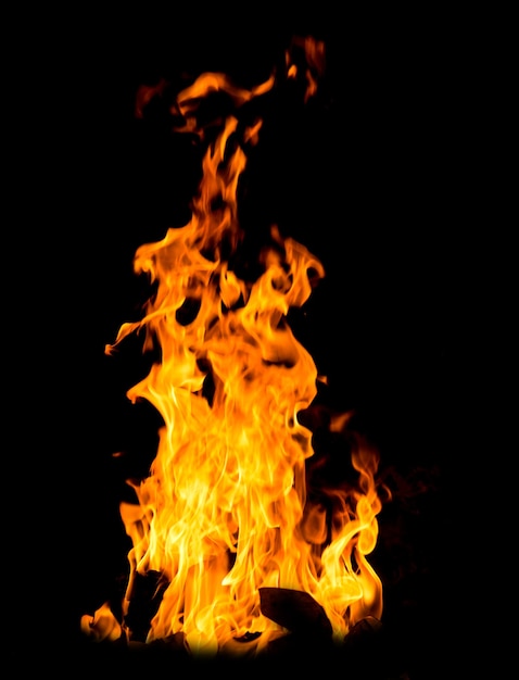 Fire flames isolated on a black background