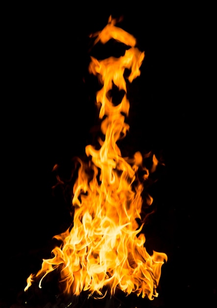 Fire flames isolated on a black background