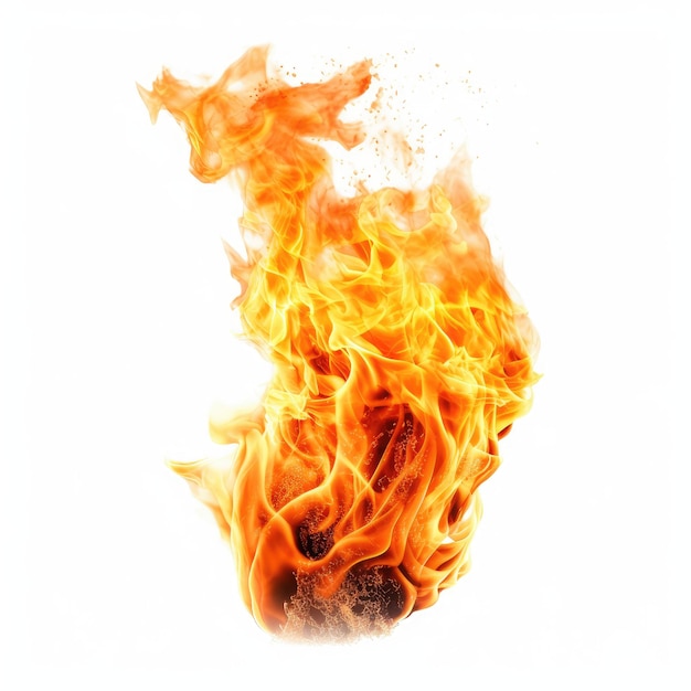 Fire flames on white background