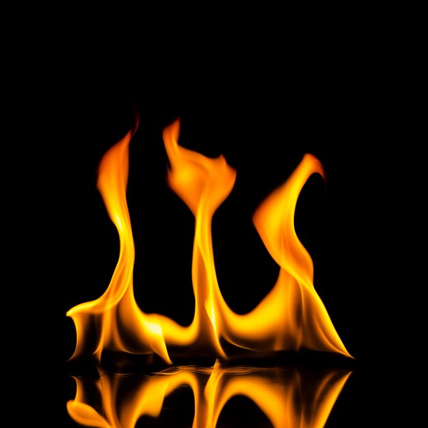 fire flames with reflection on black background