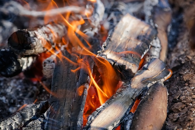 Fire on the ground for beautiful gaucho meats with red hot coals