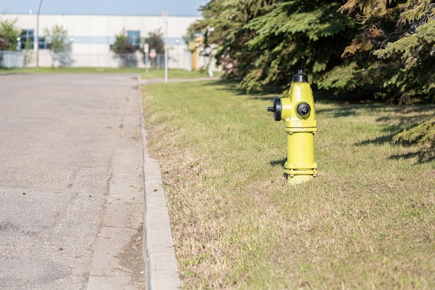 Fire hydrant beside a city street in calgary