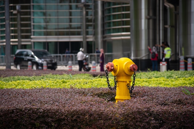 Fire hydrant for emergency fire access.