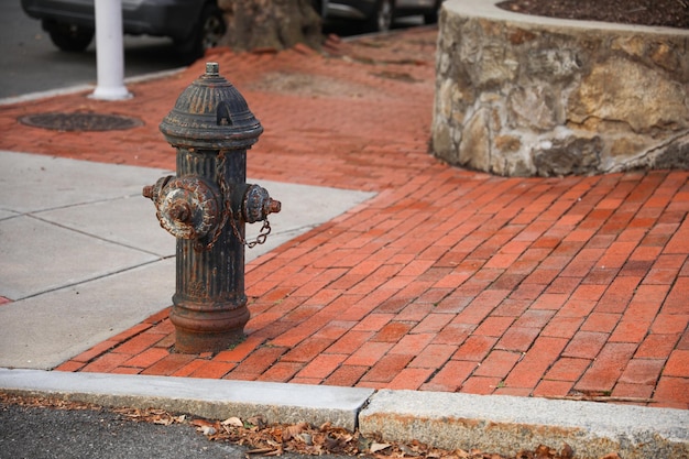 A fire hydrant is on the side of the road.