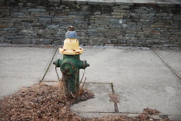 A fire hydrant is on a sidewalk with dead leaves.