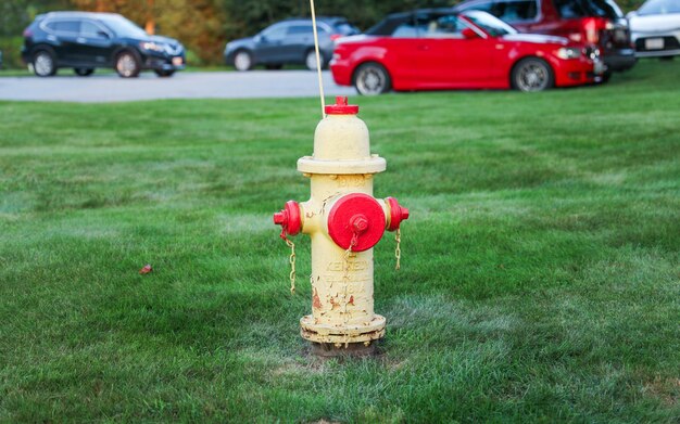 Fire hydrant stands ready a symbol of safety preparedness and vital connection to quenching emerg