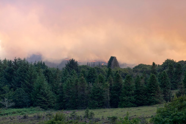 Fire and its huge cloud of smoke above the treetops in the Monts d'Arree