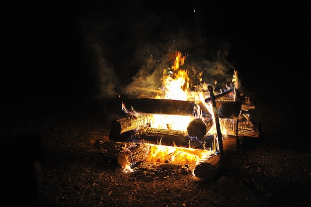 Un fuoco fatto nella foresta in inverno