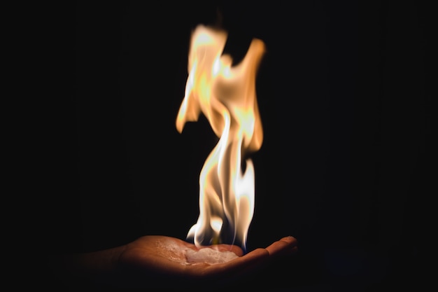 Photo fire in the palm of your hand. on a black background.